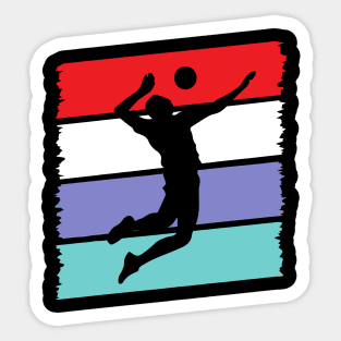 Spikeball Beach Volleyball Handball Player Sticker